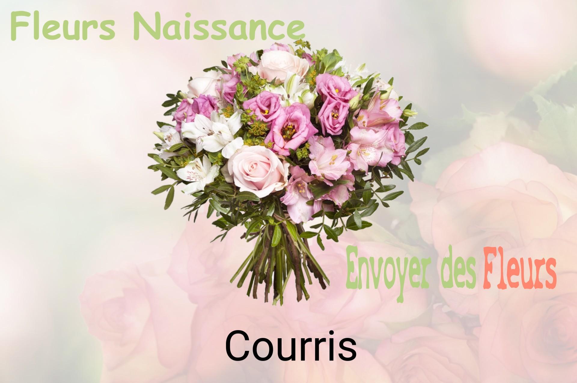 Bouquet de fleurs de naissance livré à Courris